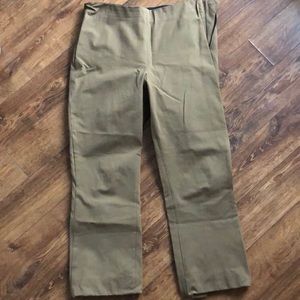 Everlane Side Zip Work Pants